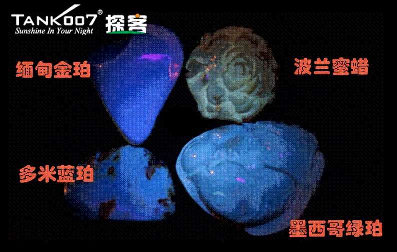 網上用紫光手電鑒定琥珀的帖子這么多，哪個是真假？